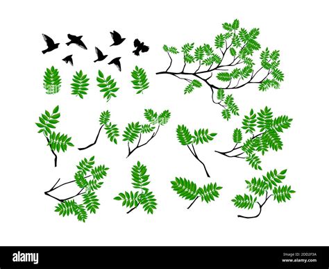 Summer Branch With Fresh Green Leaves Stock Vector Image Art Alamy