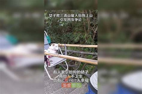 女子爬三清山雇人抬狗上山引争议，景区：抬人或者抬狗价格自行商议 不干涉