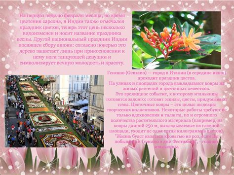 Цветочные праздники в мире.