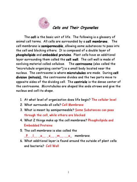 Cells And Their Organelles Worksheets Library