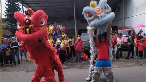 Kirab Budaya Cap Go Meh Ciamis 2023 Barongsai Lion Dance Lion