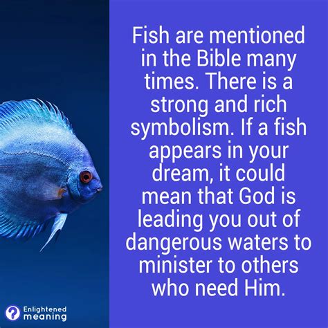 Biblical Meaning Of Fish In Dream Exploring Divine Messages