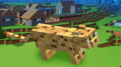 How To Tame An Ocelot In Minecraft Charlie Intel