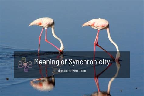 What Is The Meaning Of Synchronicity In Your Life Dreammaker