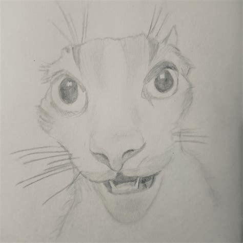 sketches of cats 5