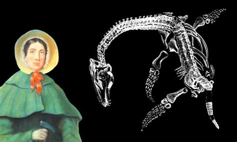 Mary Anning Biography Facts And Pictures