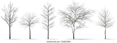 1,515,713 Winter Trees Snow Ice Images, Stock Photos, 3D objects, & Vectors | Shutterstock