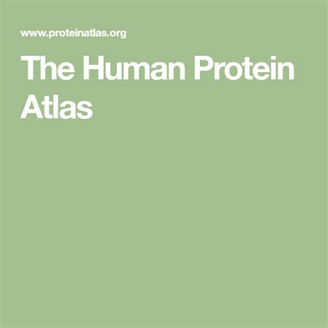 The Human Protein Atlas | Protein