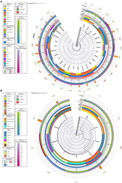 Frontiers Comparative Genomic Analysis Of Uropathogenic Escherichia