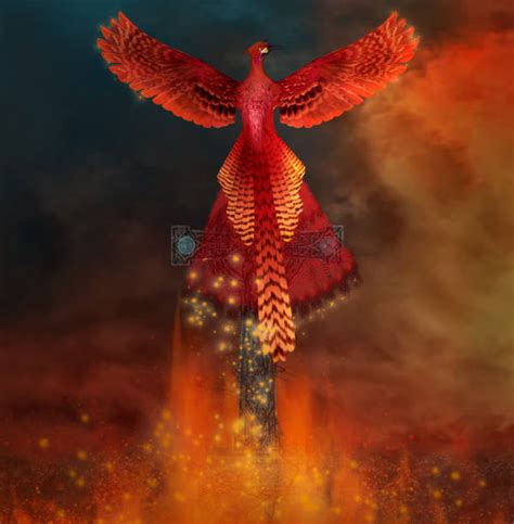 Phoenix Bird Rising Stock Photos Pictures And Royalty Free Images Istock