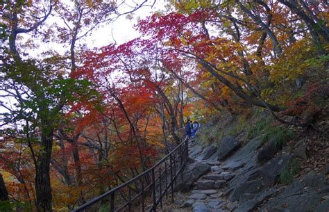 Guide To Seoraksan National Park Nearby Attractions