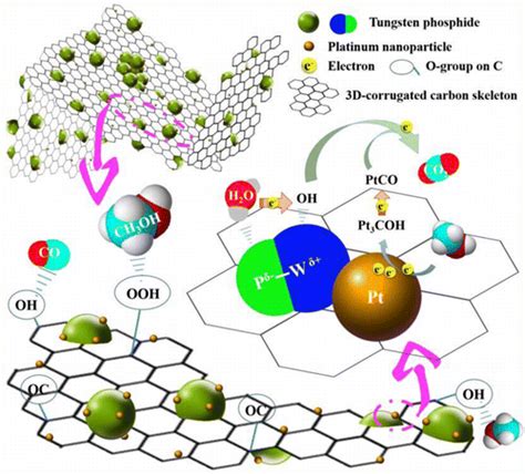 具有出色的pt助催化功能的自稳定wp C载体：增强的催化活性和对甲醇电氧化的耐久性acs Applied Materials