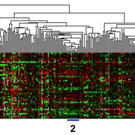 Clustering Of Mirna Expressions In Tumor Tissues And Uninvolved