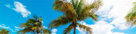 Fort Lauderdale Vacation Packages 2025 from $417 | Expedia