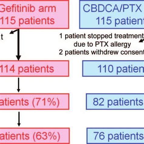 Side effects of erlotinib comparing to chemotherapy in the treatment of ...