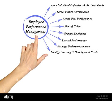 Components Of Employee Performance Management Stock Photo Alamy