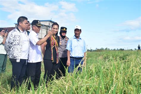 Hari Libur Pun Mentan Andi Amran Tetap Kerja Dan Tinjau Areal Tanaman