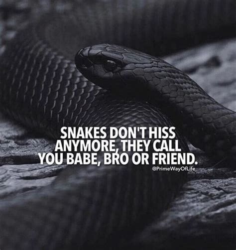 Collection Snakes Quotes And Sayings With Images