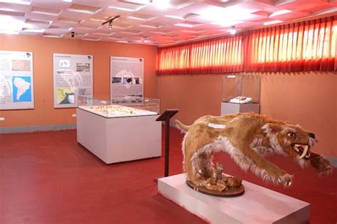 Museo Paleontol Gico De Huacrapuquio Museos Jun N