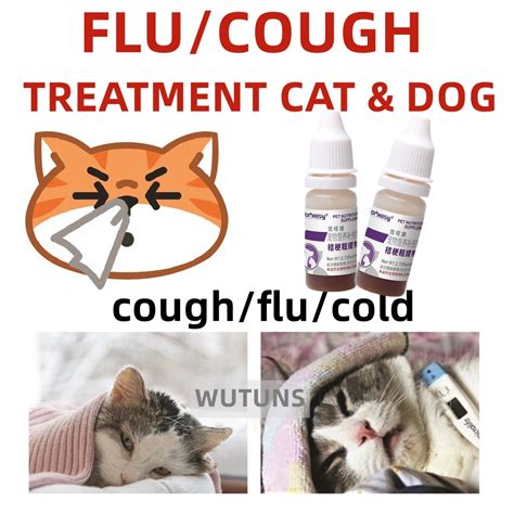 [Veterinary recommend] Cat Cold Cough Medicine the Flu,Cough,Runny nose ...