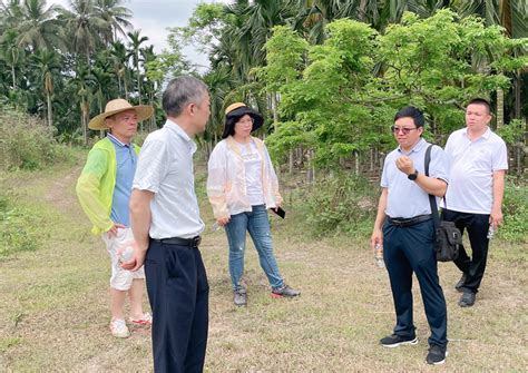 热带作物品种资源研究所 重要新闻 品资所产业发展部赴定安推动落实“一所对一县”行动计划