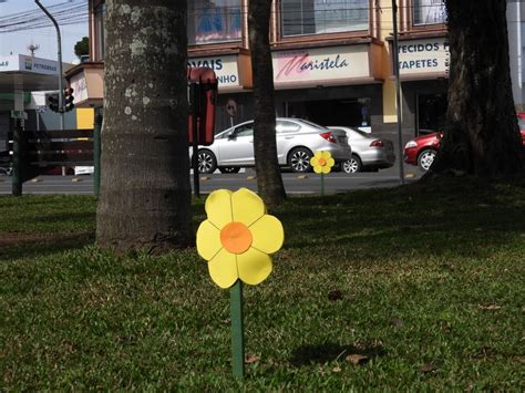 Flores Marcar O A Campanha Pelo Fim Da Viol Ncia Sexual Contra