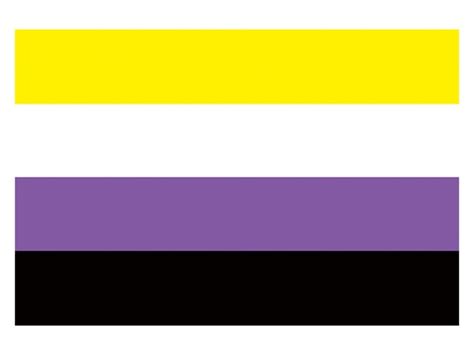 Rainbow Flags 90x150cm LGBTQIA Ace Community Nonsexuality Asexuality