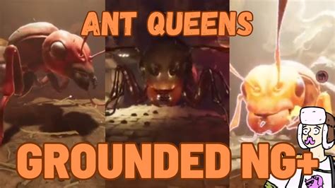 Where To Find ALL ANT QUEENS In Grounded Grounded Tutorials YouTube