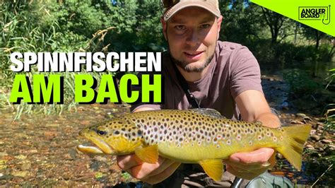 Angeln auf Forellen am Bach Tipps für Bachforellen Spinnfischen mit