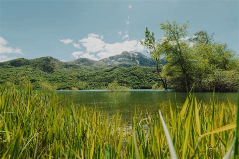images de lac ete paysage naturel vert telechargement gratuit sur freepik