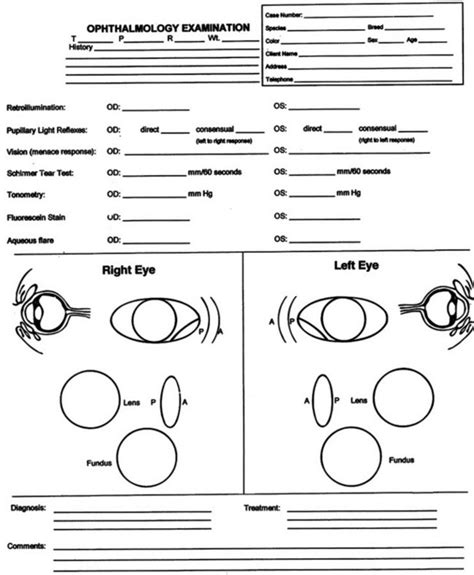 Ophthalmology Exam Form Printable - Printable Forms Free Online