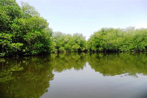 Chacahua Lagoons National Park Day Trip From Puerto Escondido Lupon