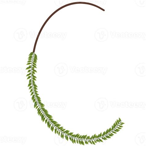 Alphabet A Z Wrapped Around Fern Leaves 27245656 Png