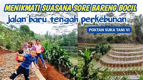 Menikmati Suasana Sore Bareng Bocil Jalan Baru Tengah Perkebunan