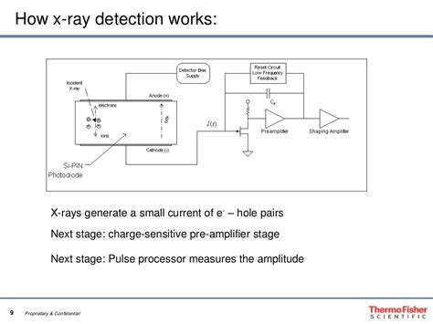 Choosing The Right Eds Detector Thermo Scientific