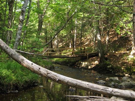 NB Hikes Mactaquac Provincial Park