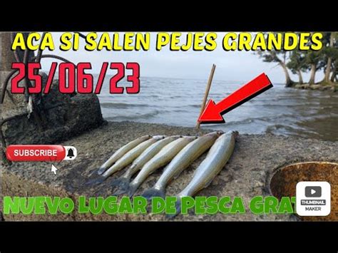 PEJERREYES GRANDES EN UN NUEVO LUGAR DE PESCA GRATIS Rio Pejes