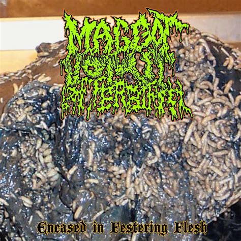 Encased In Festering Flesh Album By Maggot Vomit Afterbirth Spotify