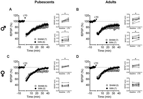 Sex Specific Effects Of A Single In Vivo Cannabinoid Exposure On Download Scientific Diagram