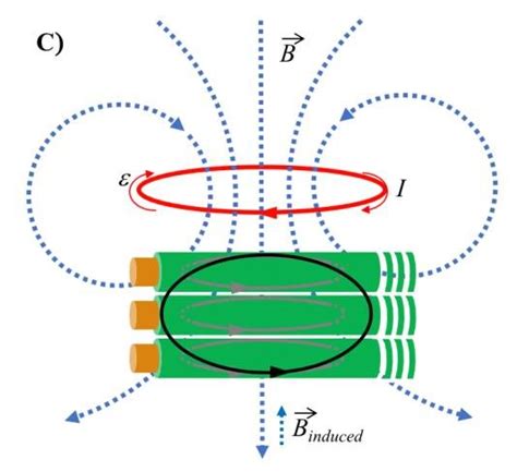 Theoretical Examples Of The Electromagnetic Fields For Short Long And