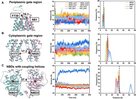 Frontiers Membrane Assisted Tariquidar Access And Binding Mechanisms