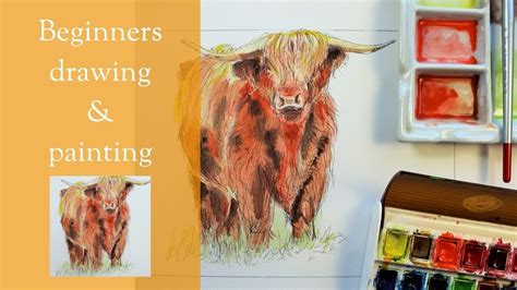 How To Draw And Paint A Highland Cow Beginners Drawing And Painting Lesson Ink And Watercolour