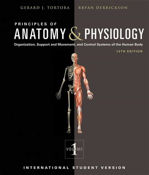 Principles Of Anatomy And Physiology Edition By Gerard J Tortora