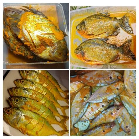 Jual Ikan Gurame Bawal Kembung Selar Bumbu Kuning 500 Gram Shopee