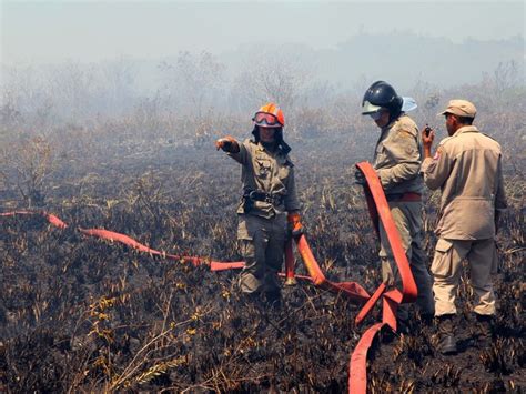 G1 Incêndio consome 20 mil m² de vegetação em Rio das Ostras no RJ