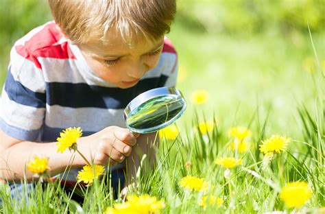 8 Great Kids Distance Learning Nature Resources By Maine Organizations