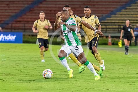 Fotos Y V Deo Atl Tico Nacional Le Cort Las Alas A Guilas Doradas