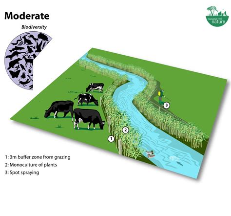 Watercourse Management Farming For Nature