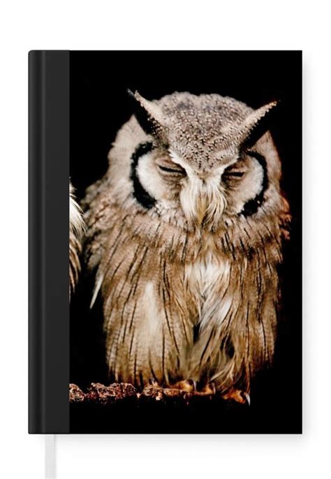 Carnet Carnet d écriture Hibou Vogel Zwart Carnet Format A5