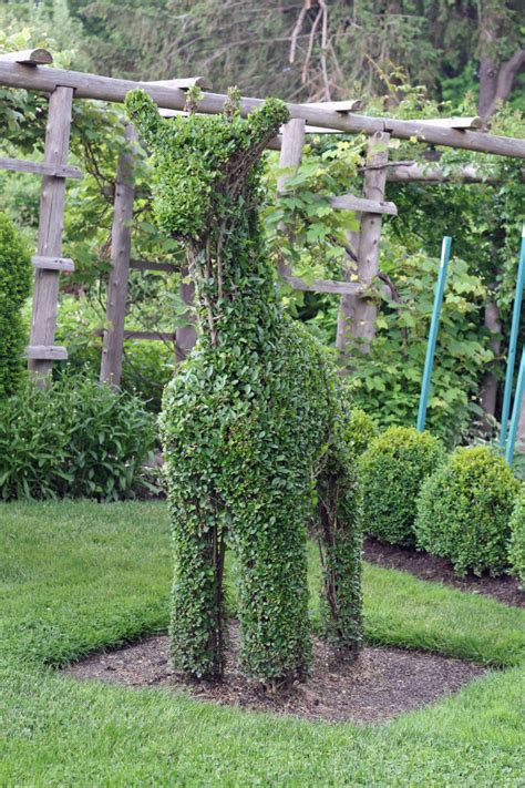 Green Animals Topiary Garden – Rhode Island | Tripomatic